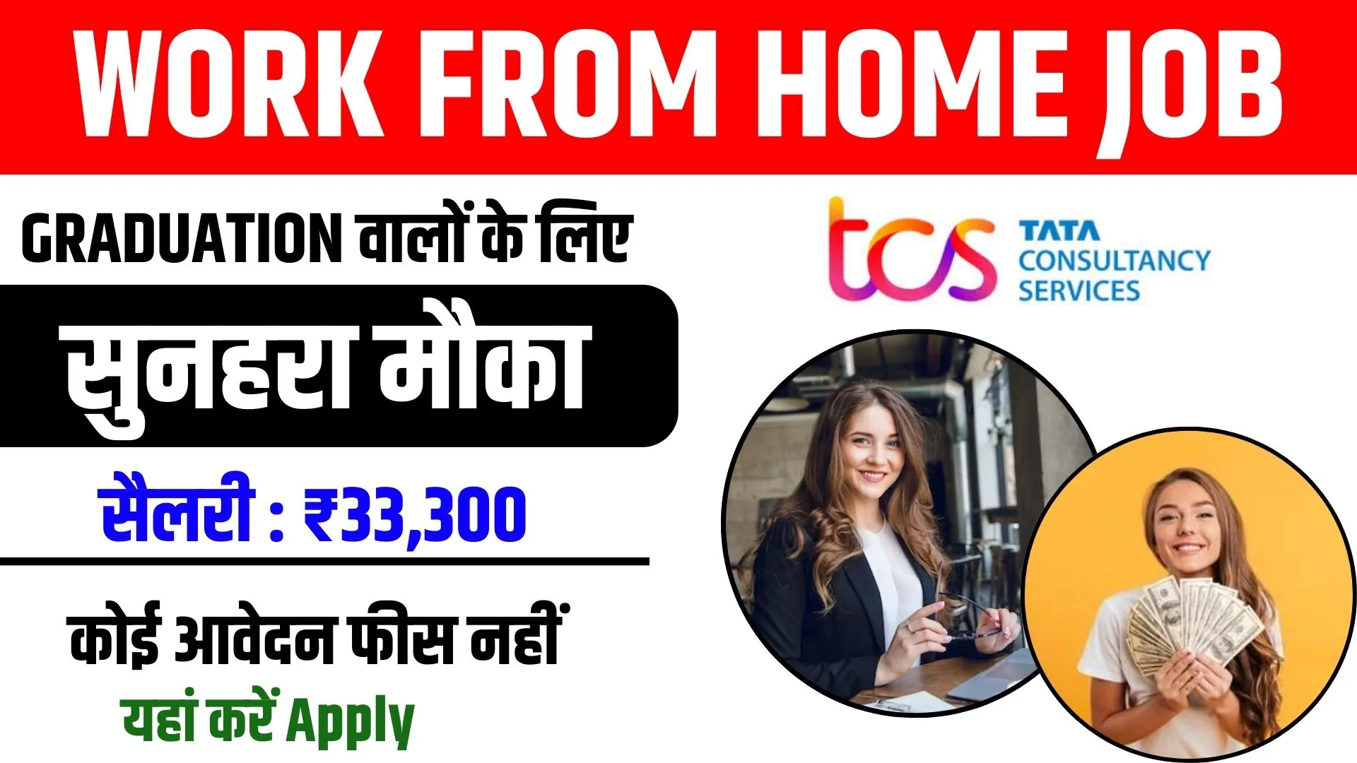 TCS Online Work From Home Job 2024